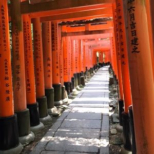 Meet your Posher, Evan